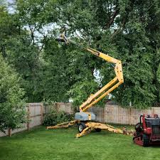 Best Commercial Tree Removal  in Liberty, KY